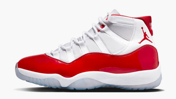 jordans 11 saturday